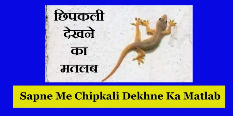 Sapne Me Chipkali Dekhne Ka Matlab