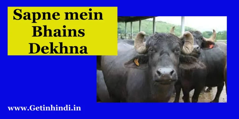 Sapne mein Bhains Dekhna