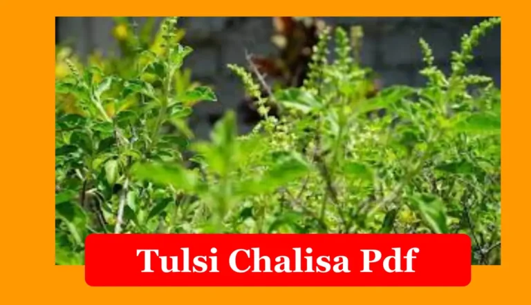 Tulsi Chalisa Pdf